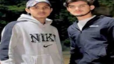 Welcome area murder,Delhi stabbing news,North East Delhi crime