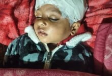 stray dog attack Ghaziabad, Indirapuram dog menace