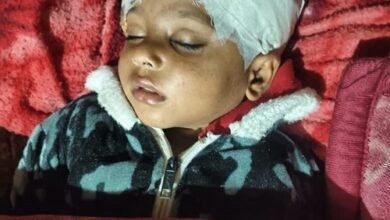 stray dog attack Ghaziabad, Indirapuram dog menace