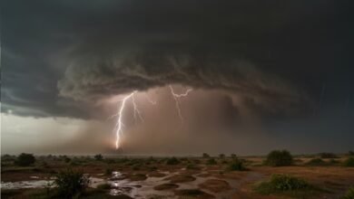 Severe Rainfall Alert