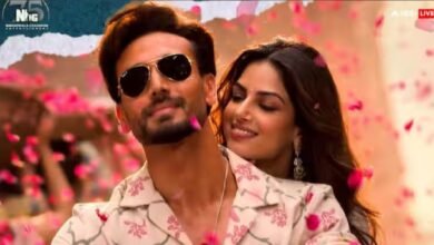 Baaghi 4