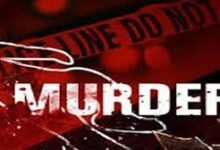 उत्तर प्रदेश, नोएडा: पत्नी पर बुरी नजर थी': कई बार समझाया, पर न माना वो, इसलिए भड़का पति और भाई को मार डाला