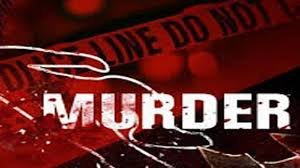 उत्तर प्रदेश, नोएडा: पत्नी पर बुरी नजर थी': कई बार समझाया, पर न माना वो, इसलिए भड़का पति और भाई को मार डाला
