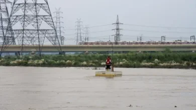 उत्तर प्रदेश, नोएडा: यमुना और हिंडन दोनों नदियां उफान पर
