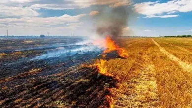 उत्तर प्रदेश, नोएडा: पराली जलाई तो होंगे योजनाओं के लाभ से वंचित