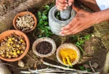 नई दिल्ली: आयुर्वेद आहार को वैश्विक पोषण का एक अभिन्न अंग बनाना लक्ष्य : प्रतापराव जाधव
