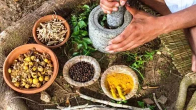 नई दिल्ली: आयुर्वेद आहार को वैश्विक पोषण का एक अभिन्न अंग बनाना लक्ष्य : प्रतापराव जाधव