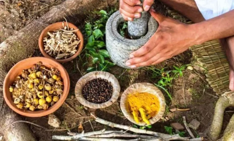 नई दिल्ली: आयुर्वेद आहार को वैश्विक पोषण का एक अभिन्न अंग बनाना लक्ष्य : प्रतापराव जाधव