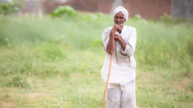 उत्तर प्रदेश, नोएडा: किसानों से 72 घंटे में मांगी नुकसान की जानकारी