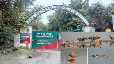 उत्तर प्रदेश, नोएडा: ओखला पक्षी विहार में लोगों के लिए चार ई-कार्ट चलेंगे