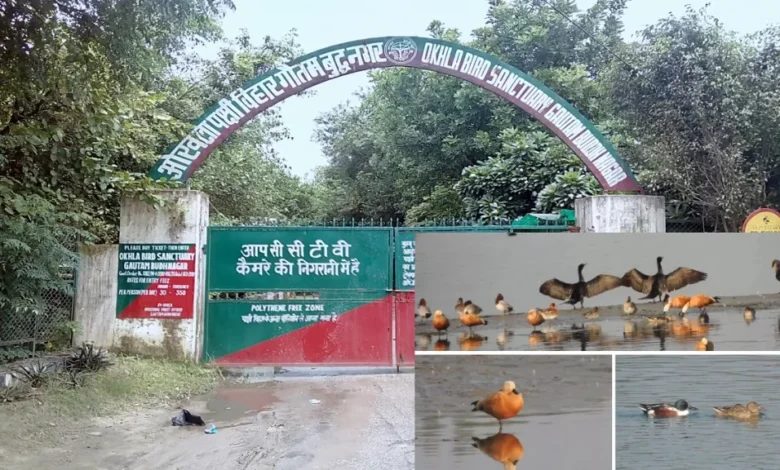 उत्तर प्रदेश, नोएडा: ओखला पक्षी विहार में लोगों के लिए चार ई-कार्ट चलेंगे