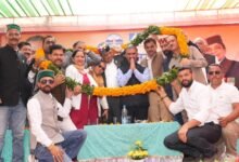 सीबीएसई