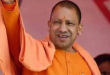 Yogi Government
