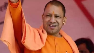 Yogi Government