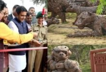 Noida Waste to Wonder Park, artificial zoo nature trail, park inauguration Noida,