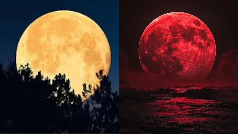 Supermoon 2026: आज दिखाई देगा साल 2026 का पहला सुपरमून, चमक और आकार में रहेगा अद्वितीय Supermoon 2026: आज दिखाई देगा साल 2026 का पहला सुपरमून, चमक और आकार में रहेगा अद्वितीय