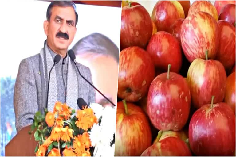 Himachal Apple Growers: मुख्यमंत्री सुक्खू ने सेब उत्पादकों के हितों की जोरदार पैरवी की, आयात शुल्क शत-प्रतिशत करने की मांग