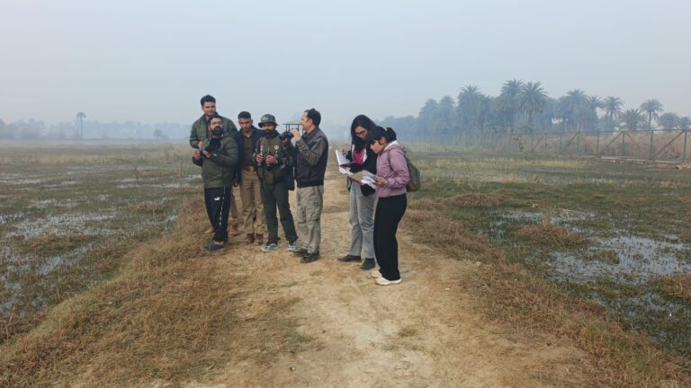 उत्तर प्रदेश : ब्रज तीर्थ विकास परिषद के संरक्षण में संवर रही जोधपुर झाल, 1493 जलीय पक्षी मिले