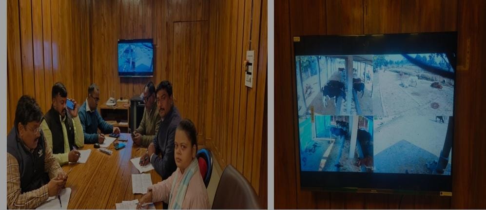 उत्तर प्रदेश : अयोध्या के 87 गो-आश्रय स्थलों में सीसीटीवी से 24 घंटे निगरानी, योगी आदित्यनाथ सरकार की पहल उत्तर प्रदेश : अयोध्या के 87 गो-आश्रय स्थलों में सीसीटीवी से 24 घंटे निगरानी, योगी आदित्यनाथ सरकार की पहल