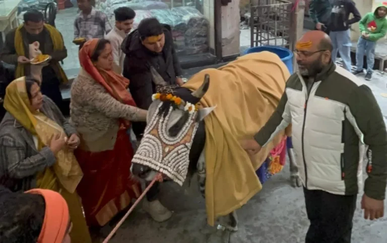 Shahdara Makar Sankranti Celebration: मकर संक्रांति पर शाहदरा में आस्था का उत्सव, भंडारों और भजनों के बीच झलकी सामाजिक एकता
