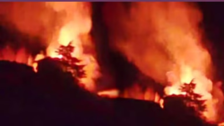 Sirmaur Fire Incident: सिरमौर में भीषण आग से छह लोगों की मौत, मुख्यमंत्री सुक्खू ने जताया गहरा शोक