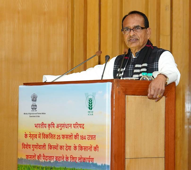 Shivraj Singh Chauhan: अनुसंधान तभी सार्थक है जब उसका लाभ सीधे किसान के खेत तक पहुंचे: शिवराज सिंह चौहान Shivraj Singh Chauhan: अनुसंधान तभी सार्थक है जब उसका लाभ सीधे किसान के खेत तक पहुंचे: शिवराज सिंह चौहान