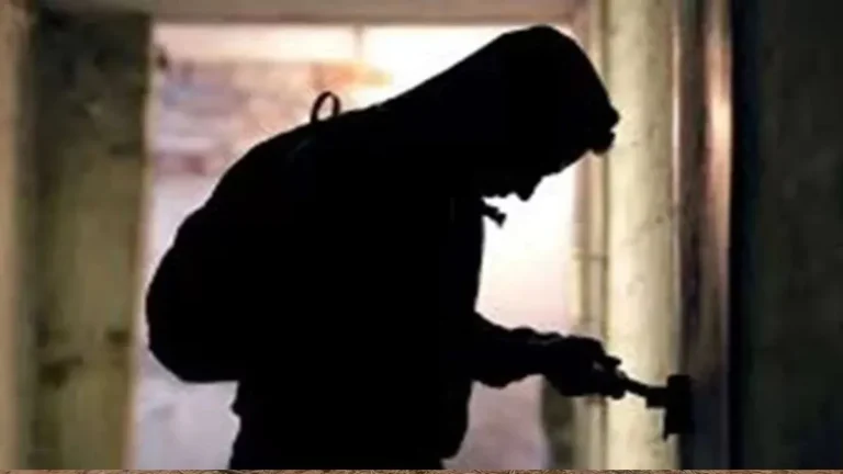 Noida factory theft: फैक्ट्री से लाखों का पॉलीफिल फाइबर चोरी, गार्ड और पूर्व कर्मी पर FIR दर्ज