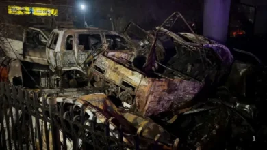 Shahdara fire news, Delhi MCD fire, Shahdara flyover fire,