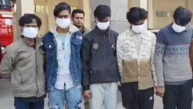 Noida vehicle theft gang, Central Noida police action