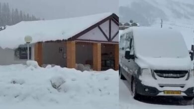 Snowfall in Sonamarg