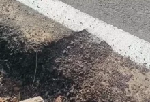 Faridabad road damage, Haryana road issue, poor construction road