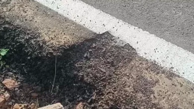 Faridabad road damage, Haryana road issue, poor construction road