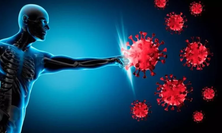 Immunity Research India: इम्यून सिस्टम ही असली सुरक्षा कवच, नई बीमारियों के दौर में इम्यूनोलॉजी पर बढ़ा जोर