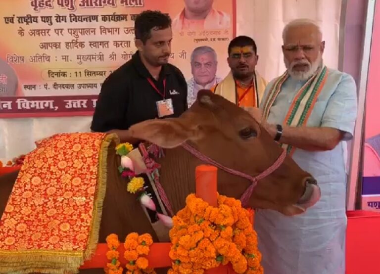 Uttar Pradesh : गो संरक्षण विशेष, यूके, यूएसए, ऑस्ट्रेलिया समेत 10 से अधिक देशों में बजा यूपी का डंका