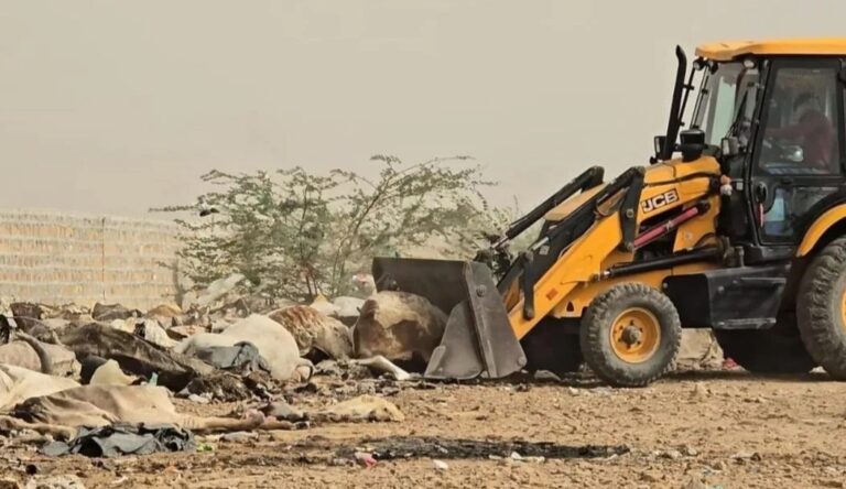 Rajasthan : जैसलमेर के बड़ाबाग डंपिंग यार्ड में खुले में पड़े मिले गोवंश के शव, ठेकेदार को नोटिस जारी