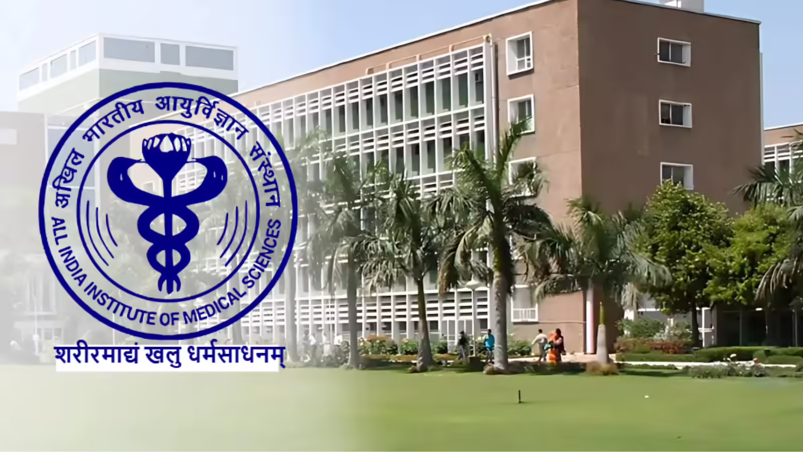 AIIMS scientists: दुनिया के शीर्ष 5% वैज्ञानिकों की सूची में एम्स के वैज्ञानिकों का दबदबा, भारतीय चिकित्सा अनुसंधान को मिली वैश्विक पहचान AIIMS scientists: दुनिया के शीर्ष 5% वैज्ञानिकों की सूची में एम्स के वैज्ञानिकों का दबदबा, भारतीय चिकित्सा अनुसंधान को मिली वैश्विक पहचान