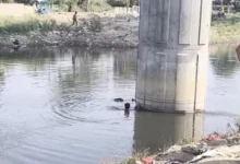 Kondli Canal Dead Body