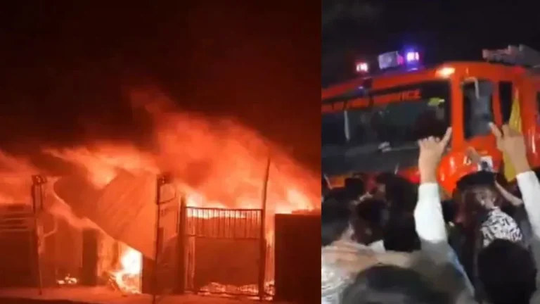 Delhi Fire: शास्त्री पार्क फर्नीचर मार्केट में भीषण आग, 23 दमकल गाड़ियों ने संभाला मोर्चा