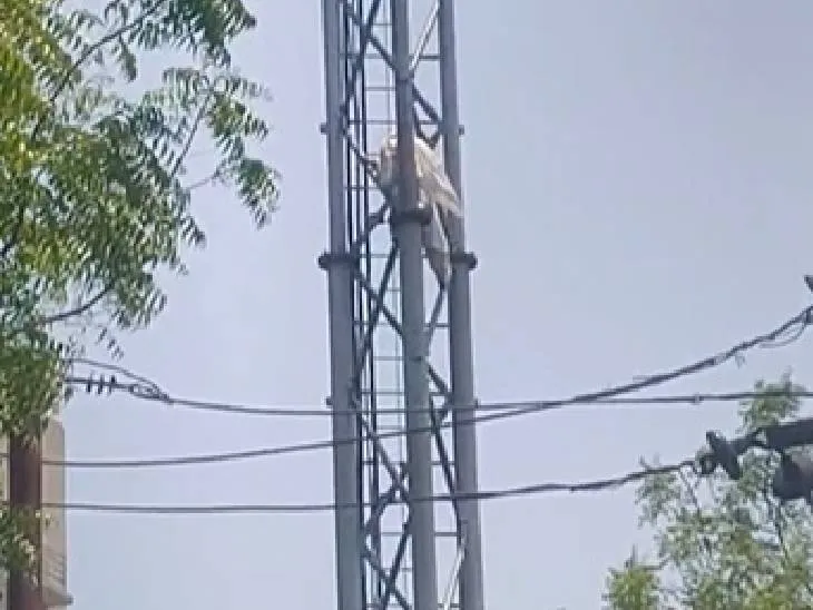 Noida mobile tower incident: नोएडा में मोबाइल टावर पर चढ़ी युवती, प्रेम प्रसंग बना वजह