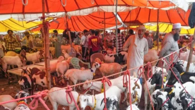 ASIA'S LARGEST BAKRA MANDI