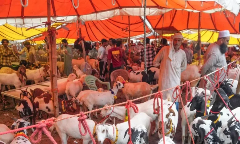 ASIA'S LARGEST BAKRA MANDI