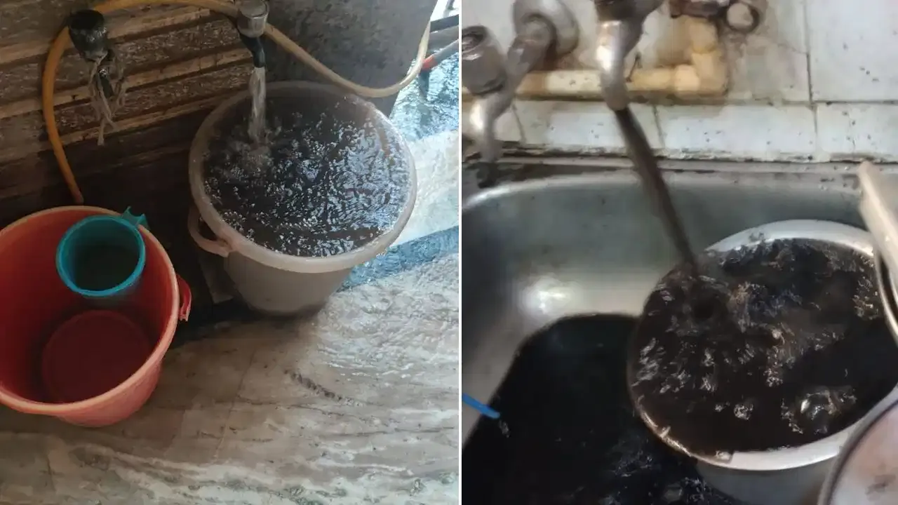 Noida Water Crisis: गंदे पानी की सप्लाई पर फोनरवा सख्त, जर्जर लाइनों की मरम्मत की मांग तेज Noida Water Crisis: गंदे पानी की सप्लाई पर फोनरवा सख्त, जर्जर लाइनों की मरम्मत की मांग तेज