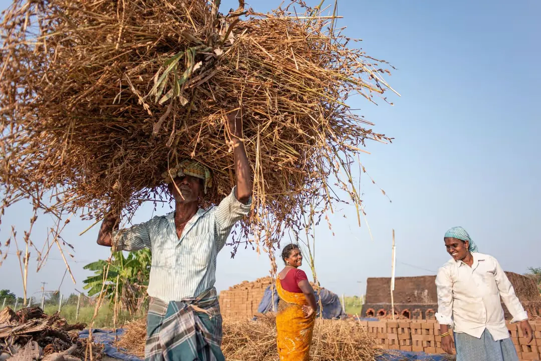 Tirthali Village: तिरथली के 578 किसानों को भूखंड मिले Tirthali Village: तिरथली के 578 किसानों को भूखंड मिले