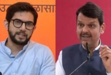 Maharashtra Politics, Aaditya Thackeray, Devendra Fadnavis