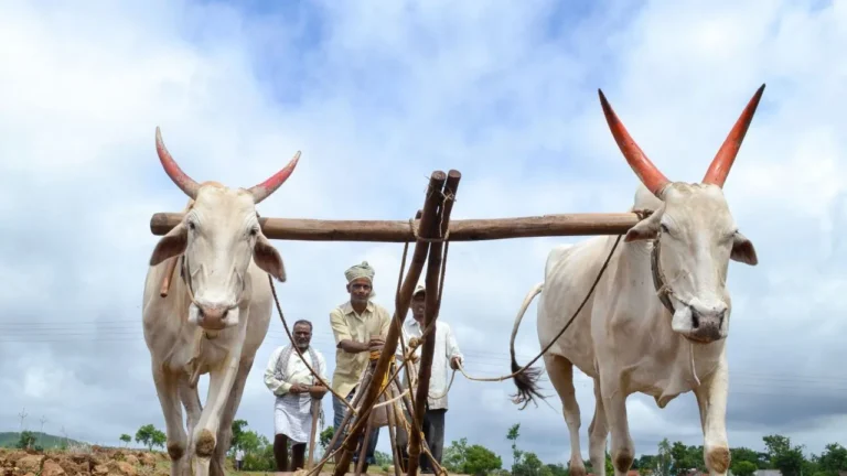 Uttar Pradesh : गोमाता के जरिए खेती में ‘जीन क्रांति’ की तैयारी