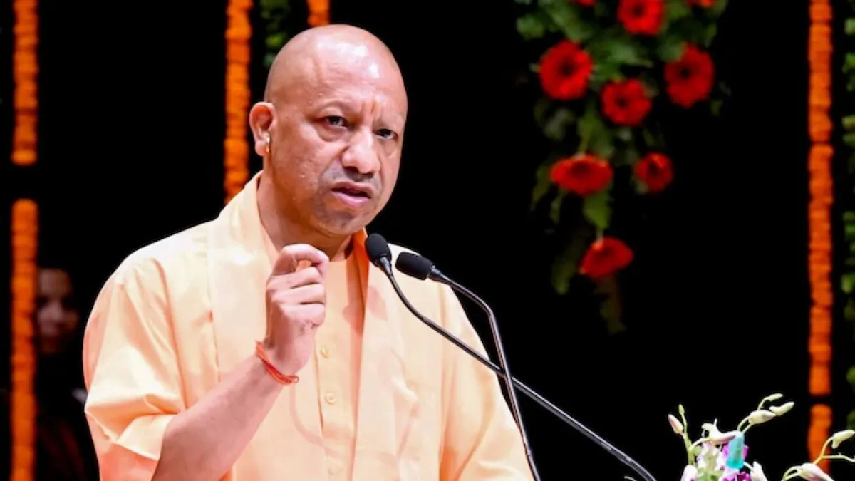 yogi-(3)-1778758419357