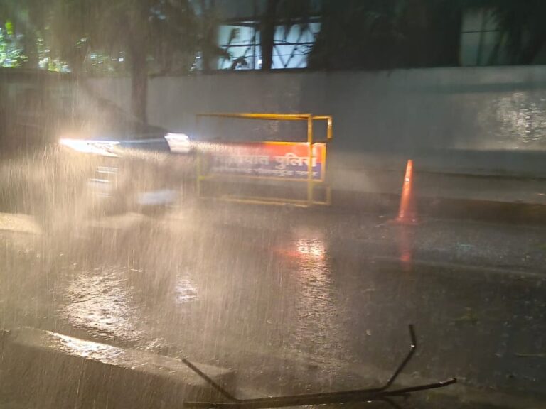 Delhi NCR Weather: तेज आंधी और बारिश से बदला दिल्ली-एनसीआर का मौसम, दिन में छाया अंधेरा, 100 से अधिक पेड़ गिरे