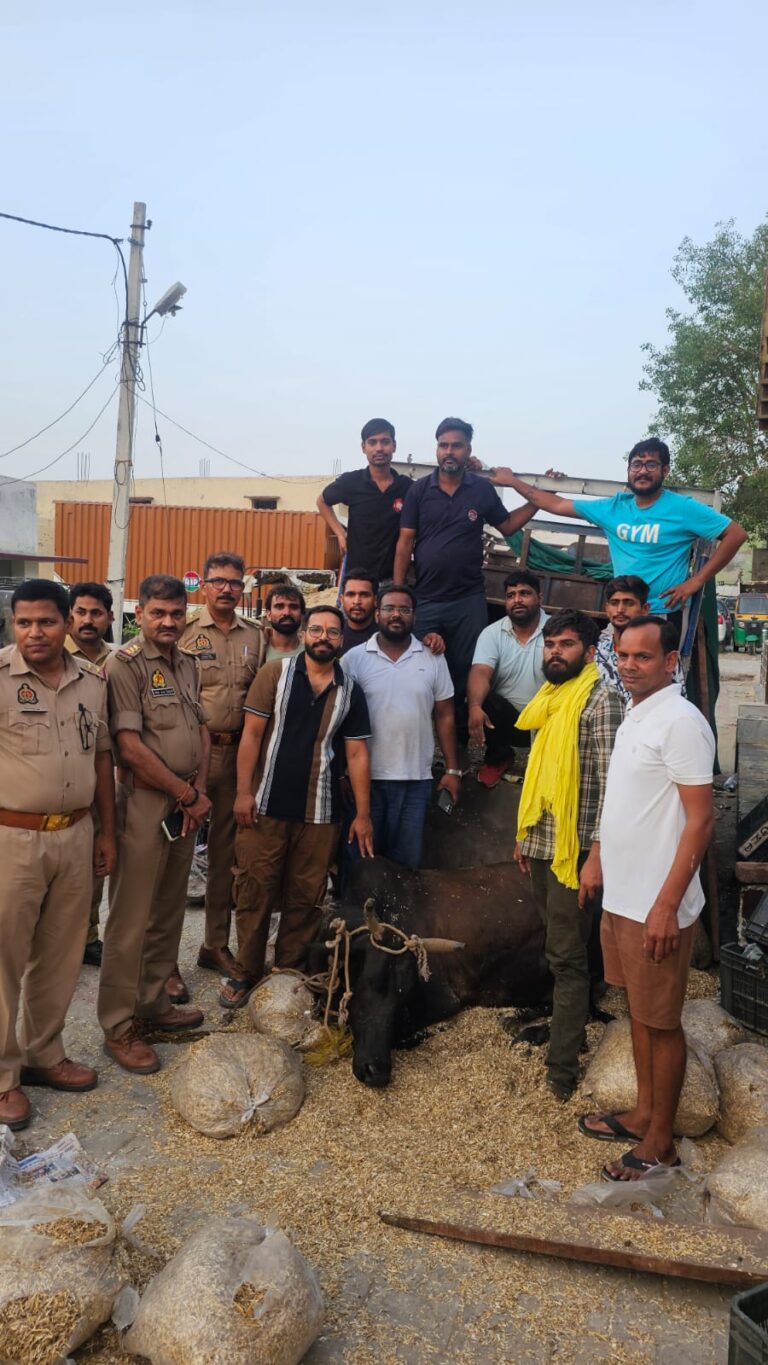 Uttar Pradesh : फिल्मी स्टाइल में गो-तस्करों से मुठभेड़, सेंट्रो से टक्कर मारने की कोशिश, 5 गोवंश मुक्त, 3 आरोपी गिरफ्तार