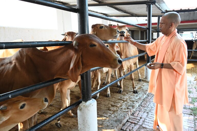 Uttar Pradesh : गुड़-रोटी खिलाकर सीएम योगी ने की गोसेवा