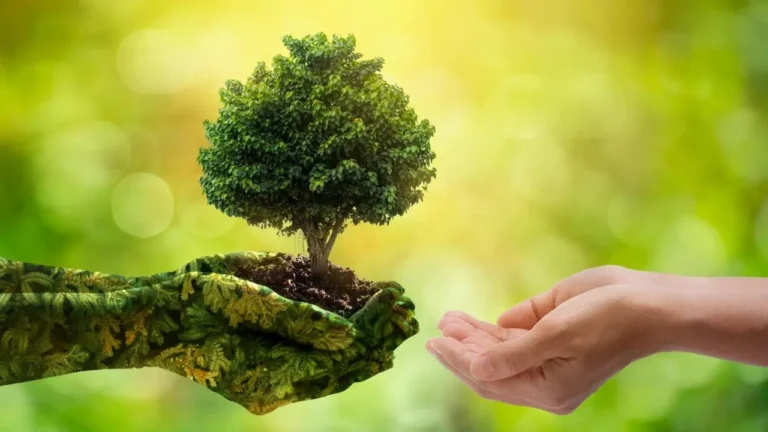 World Environment Day : विश्व पर्यावरण दिवस (5 जून) पर कुकरैल में होगा वृहद पौधरोपण, मुख्यमंत्री योगी आदित्यनाथ करेंगे शुभारंभ